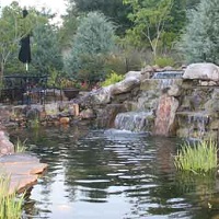 clermont fl eco pool designed by our pool architects