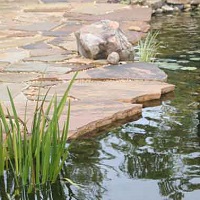 clermont florida eco swimming pool