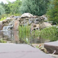 clermont florida reflective eco pool