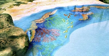 swimming pool architecture design by our swimming  pool architets