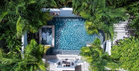 silhouette of a live oak tree branch against the sky, looking up at it from the ground